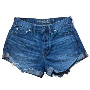 American Eagle Vintage Hi-Rise Festival Shorts Size 4